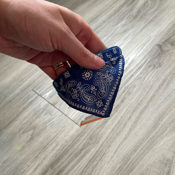 *Free with purchase!* Small Dog or Cat Collar - Picture 3 of 4